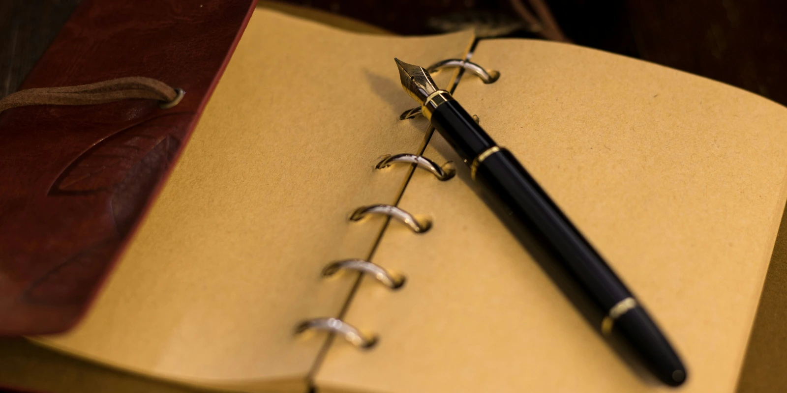 Guide Préparation Physique Licence STAPS