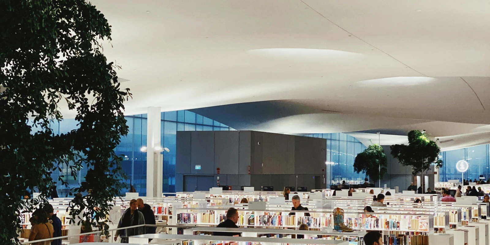 Introduction à la Mécanique Quantique : Cours de Licence