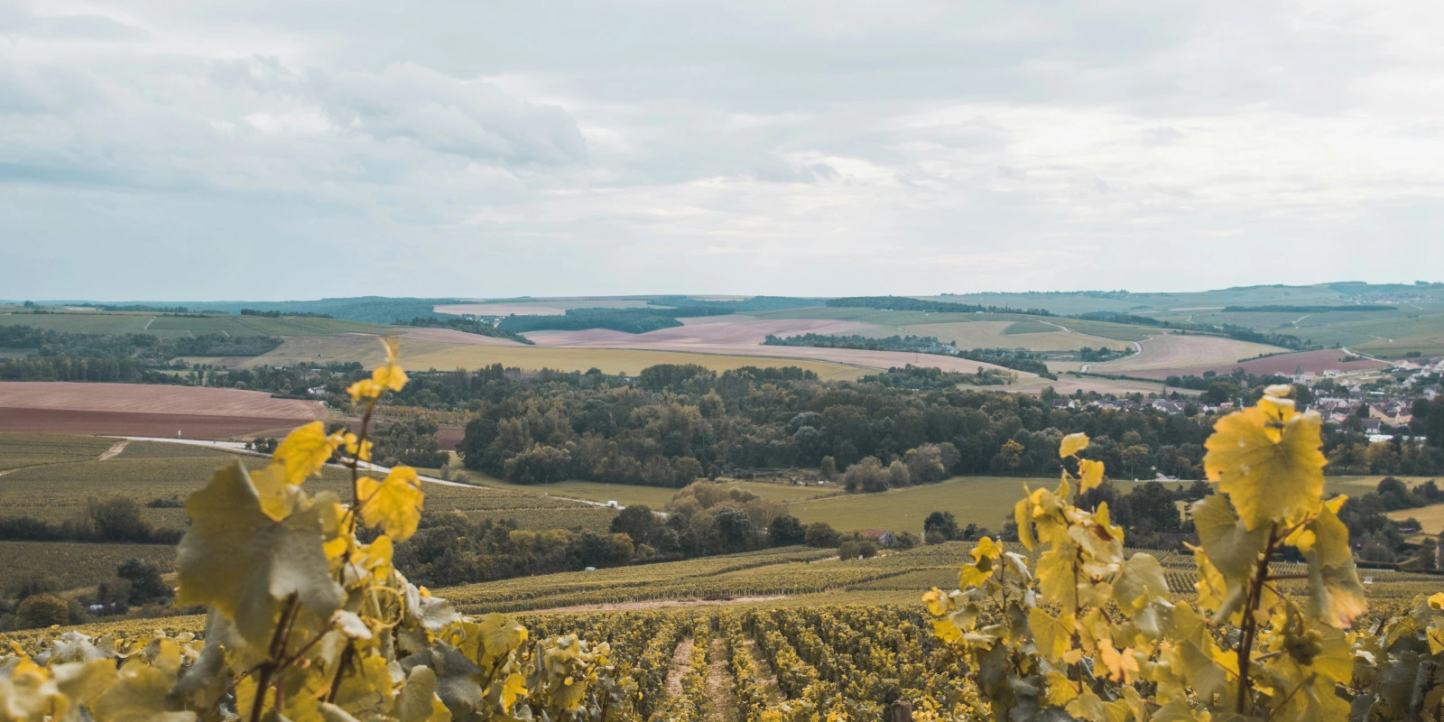 Licence Physique Angers : Programmes et Débouchés