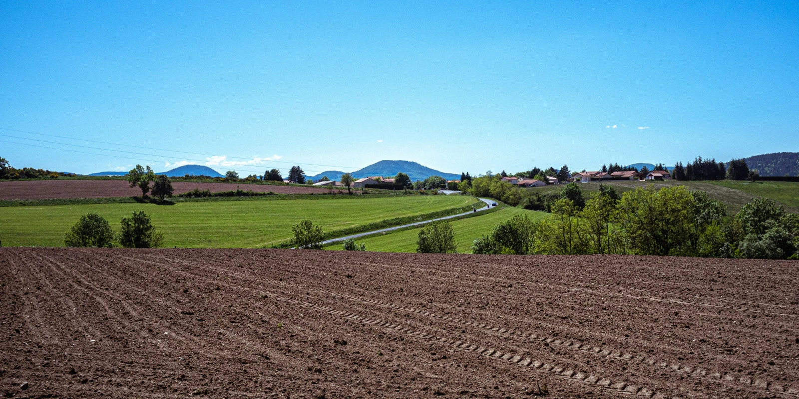 Licence Physique Distance : Comment Étudier à Domicile