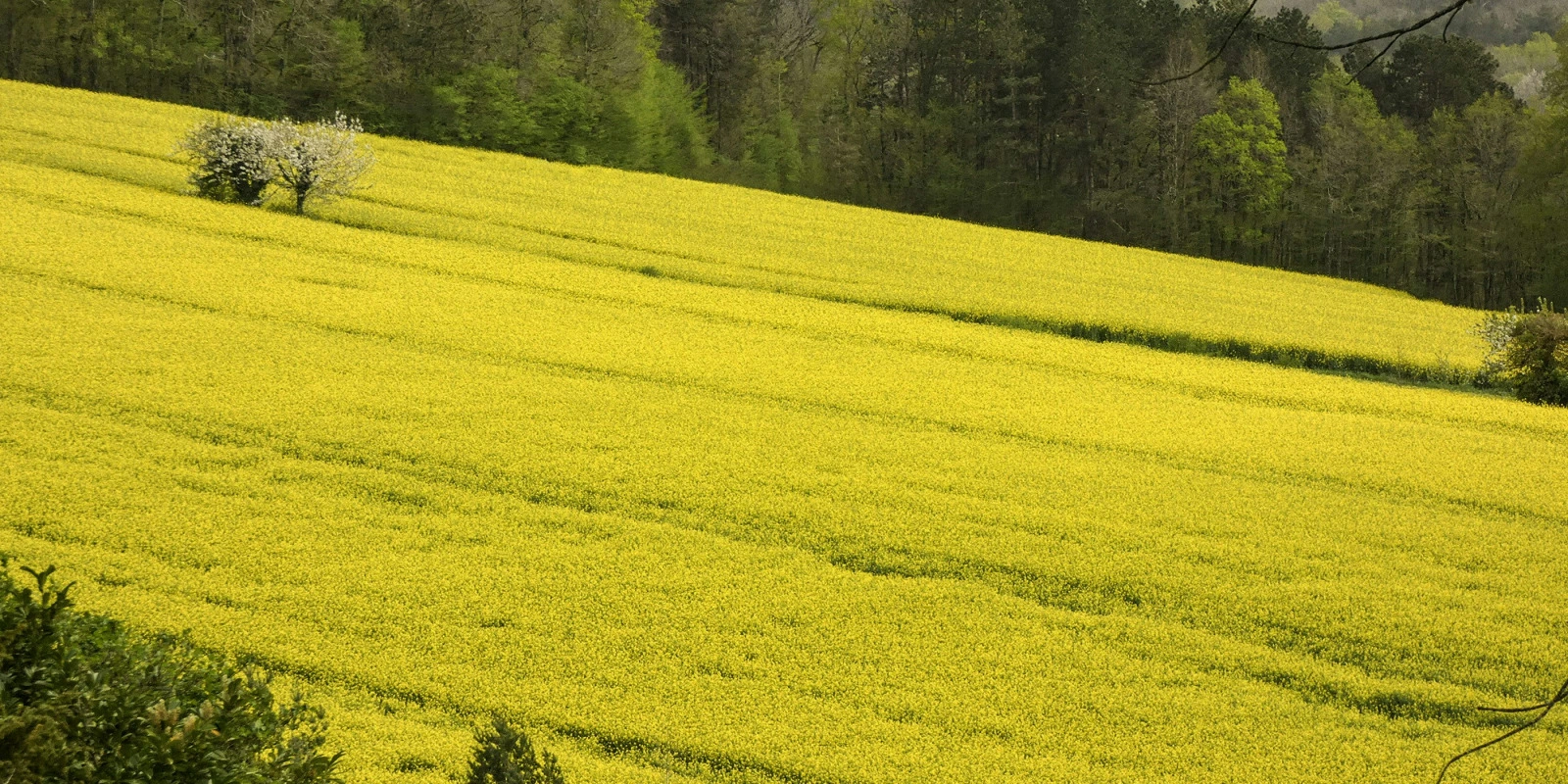 Licence Physique Orsay : Programme et Opportunités